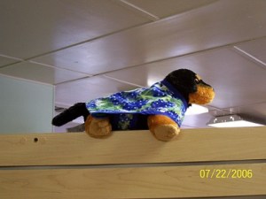 Stuffed dog with a coat