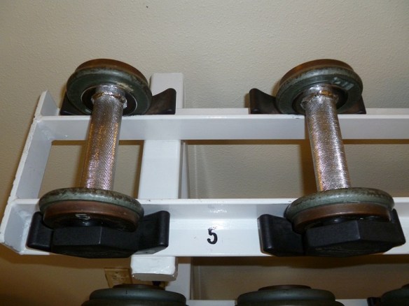 Five Pounds Two five-pound weights at the gym