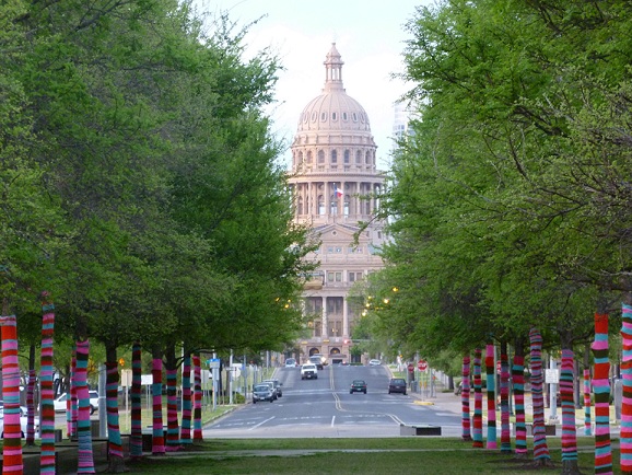 Texas Capitol framed by trees with knitted sweaters on the tree trunks