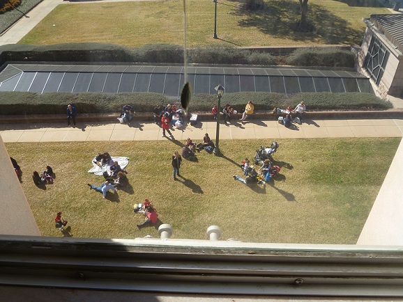 Lunch on the Texas Capitol lawn