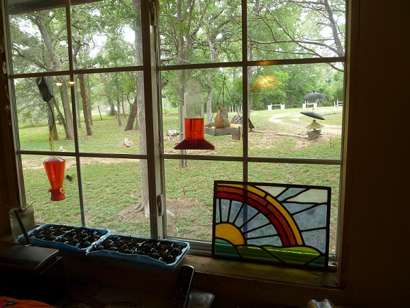 Hummingbird and bird feeders outside a bay window