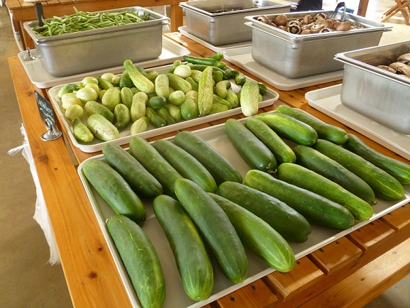 Fresh veggies at the Monument Market