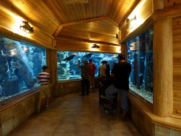 Cabela's Aquarium