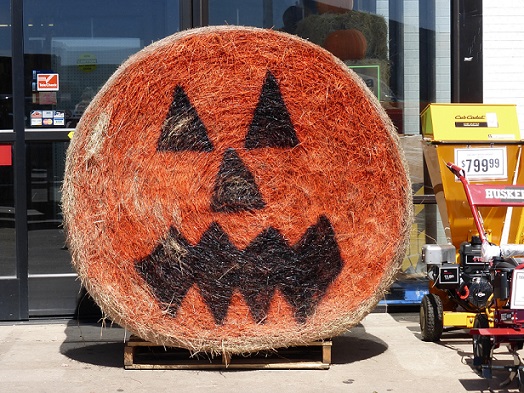 A round hay bale as a Halloween pumpkin