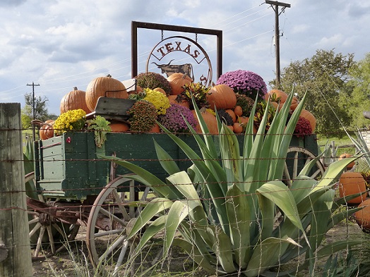 A wagon full of autumn colors