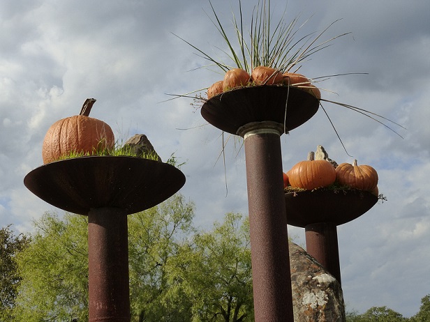 Wild Onion Ranch entry