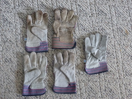 Five gloves retrieved by Dusty