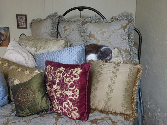 A cat sleeping on a pile of bed pillows