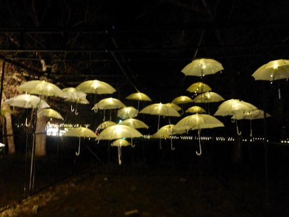 Umbrellas with lights