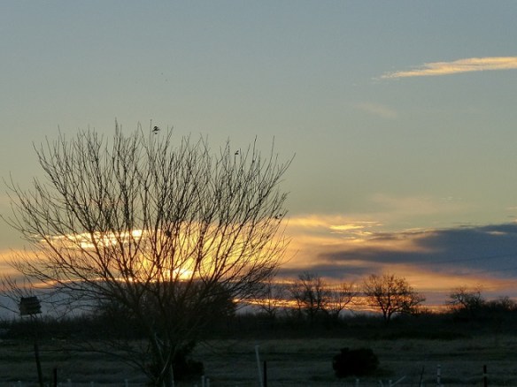 Sunrise on a cold, cold morning