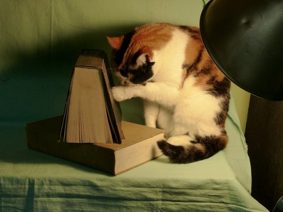 Cat and two books