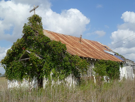 A church with ivy