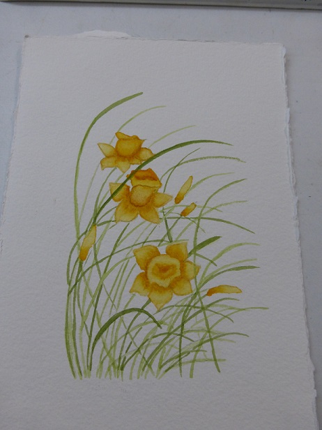 Flowers and grasses added to the jonquil watercolor painting