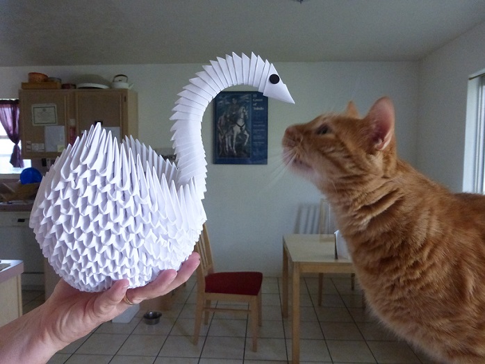A curious cat inspecting the origami swan