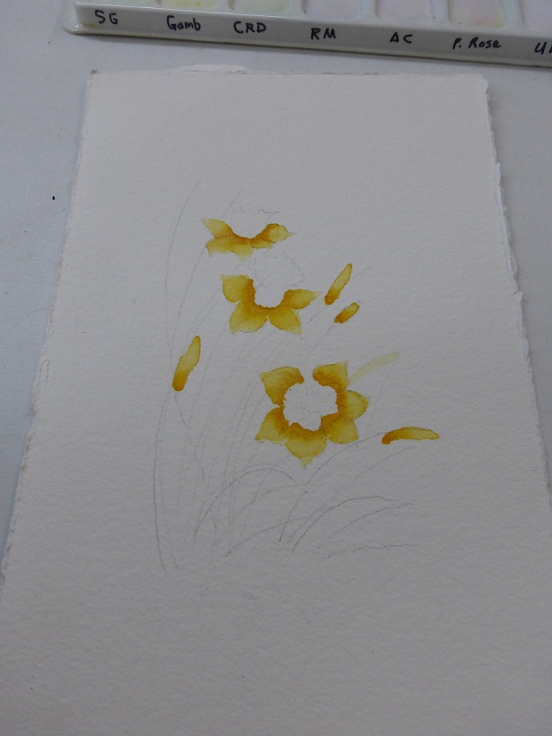 A beginning to the watercolor painting of a jonquil