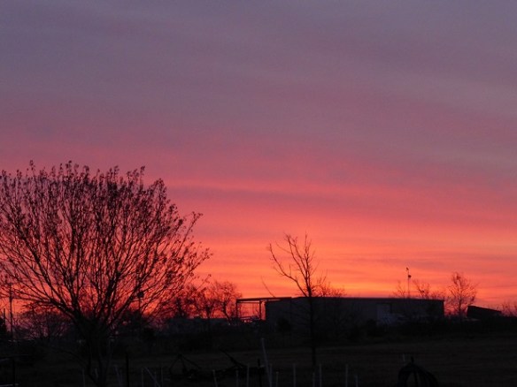 Sunrise 07 March 2014