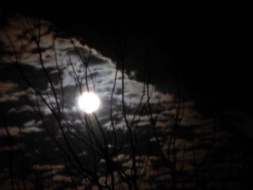 A full moon with clouds, seen through bare tree branches