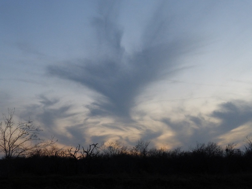 A sunset with wispy clouds