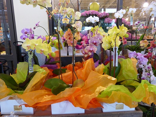 Orchid display at Whole Foods Market Arbor Trails