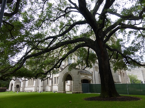 At St. Paul's United Methodist Church, Houston, Texas