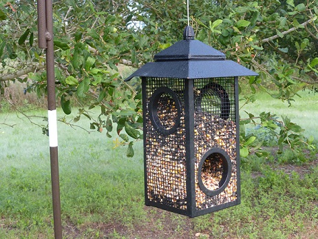 Hanging bird feeder for small birds