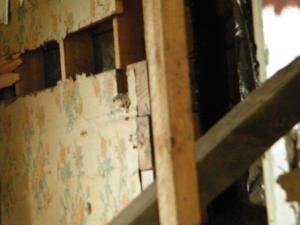 Friday Fictioneers photo prompt.  Copyright Mary Shipman.