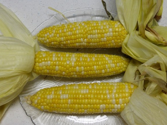 Oven-roasted corn