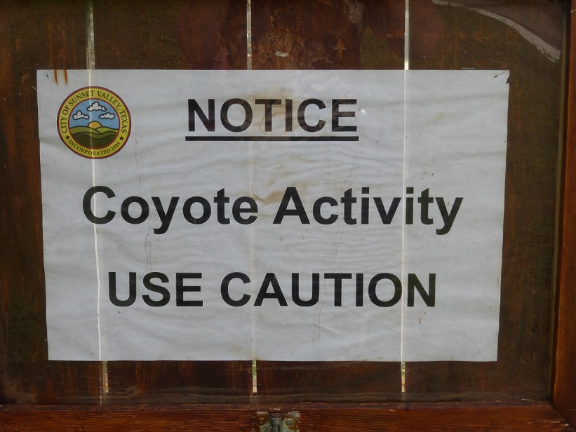 A sign in Sunset Valley, Texas, warning residents of coyote activity.