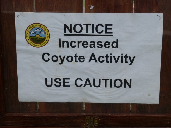 A sign in Sunset Valley, Texas, warning residents of increased coyote activity