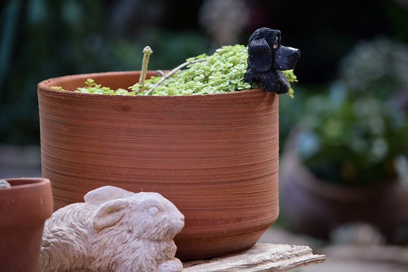 A potted plant with a ceramic dog hanging over the edge