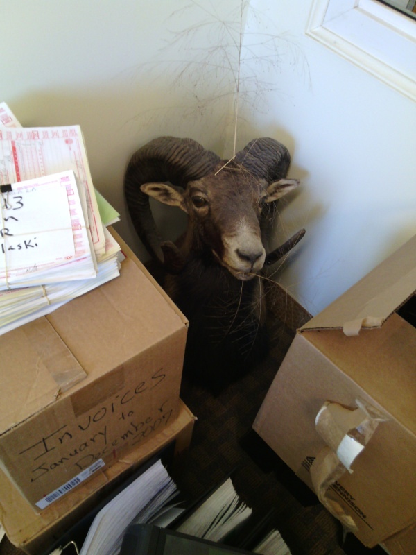 Friday Fictioneers photo prompt. Copyright Adam Ickes