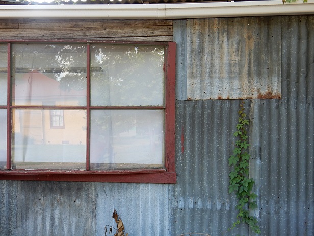 Window on a metal building with ivy starting to grow up the side of the building