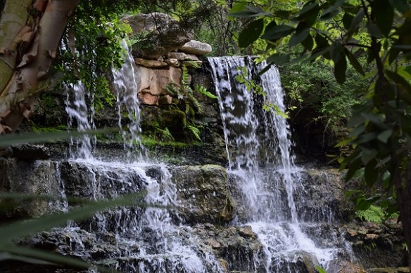 Small waterfall at the Zilker Botanical Garden