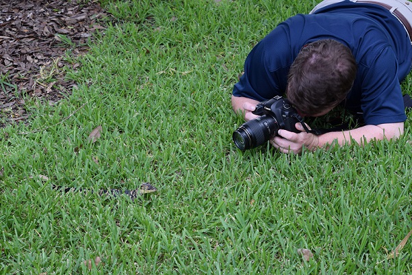 Photo of a man taking a photo of the baby alligator