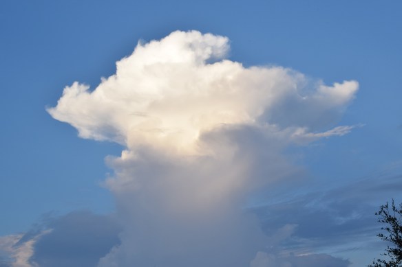 A tall cumulus cloud