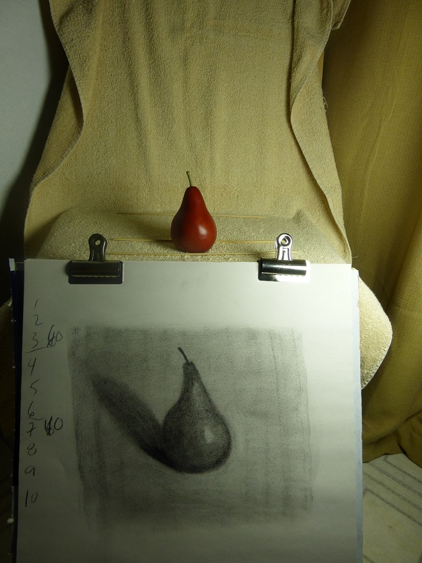 Red pear and sketch #2 together to see how I did. Sketch #2 is much better, I think.