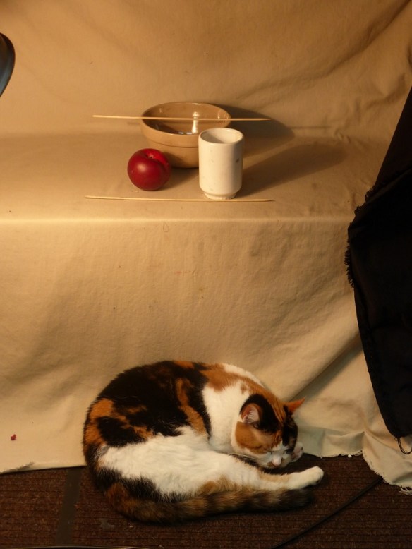 A tri-color cat sleeping at the bottom of a still life arrangement (plum, bowl, vase)