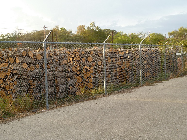 Stacks and stacks of chopped wood