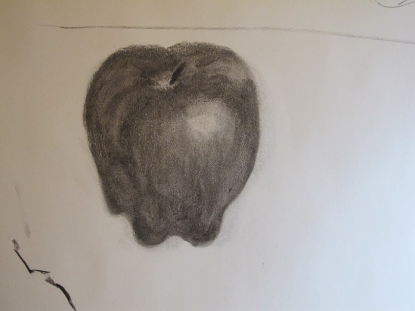 The sketch of the red delicious apple