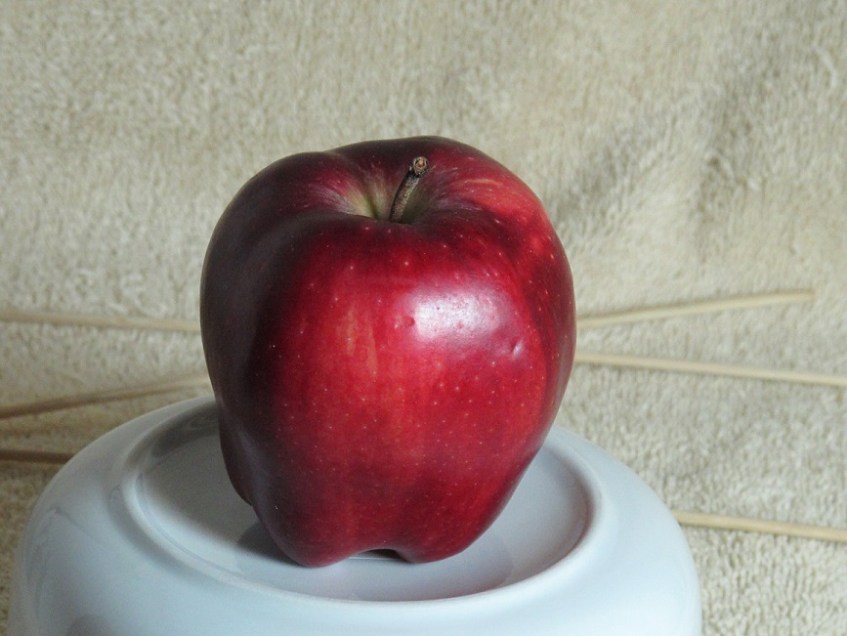 The red delicious apple to sketch