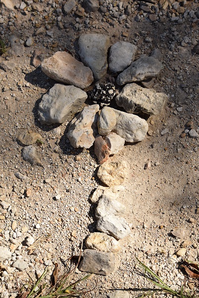 A flower whose parts are made out of rocks: the petals and the stem
