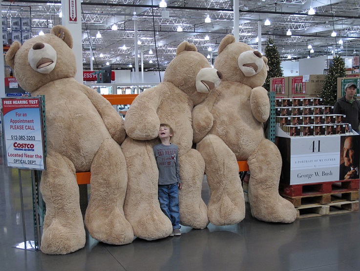 Three giant teddy bears and one boy, about 7 years old, standing in front of them, coming up to about to the waist of the teddy bear