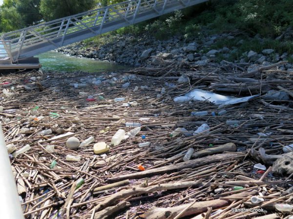 a creekbed with a bridge over it; recent rains left twigs, branches and lots of trash under the bridge. Friday Fictioneer prompt. Copyright Sandra Crook