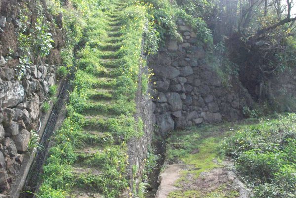 Friday Fictioneer photo prompt. Copyright Bjorn Rudberg