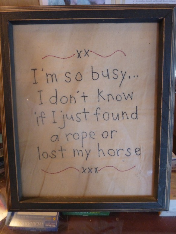 A photo of a hand-stitched saying: I'm so busy I don't know if I just found a rope or lost my horse