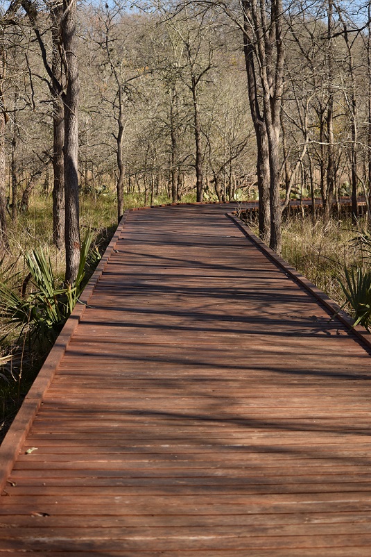 A boardwalk in the Palmetto State Park, Texas