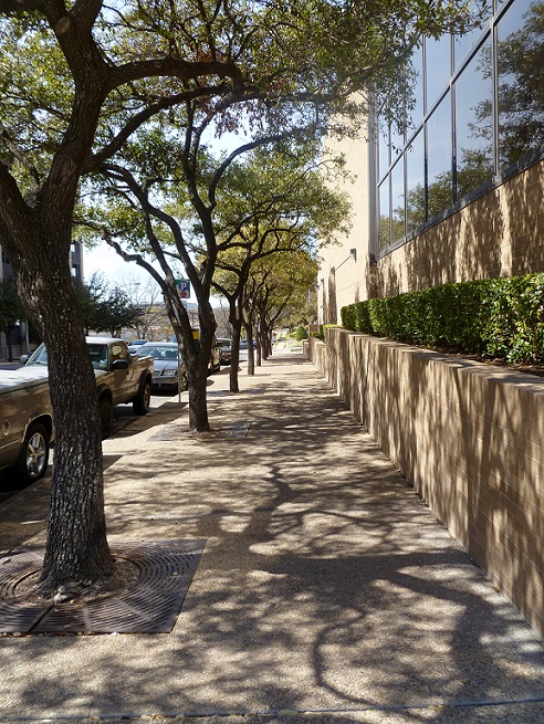 Shadows from the trees on the sidewalk