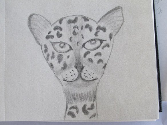 Sketch of the head of the jaguar letter opener