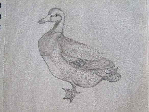 Sketch of a duck statuette