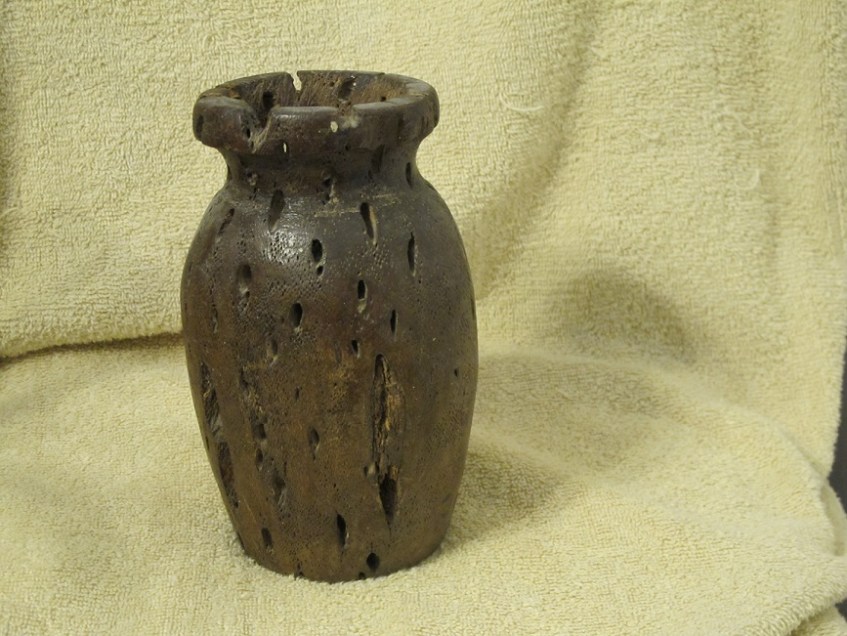 Cactus root, probably